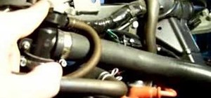 Remove the coolant hoses on a Honda 919 motorcycle