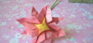 Origami an 8-petal origami flower