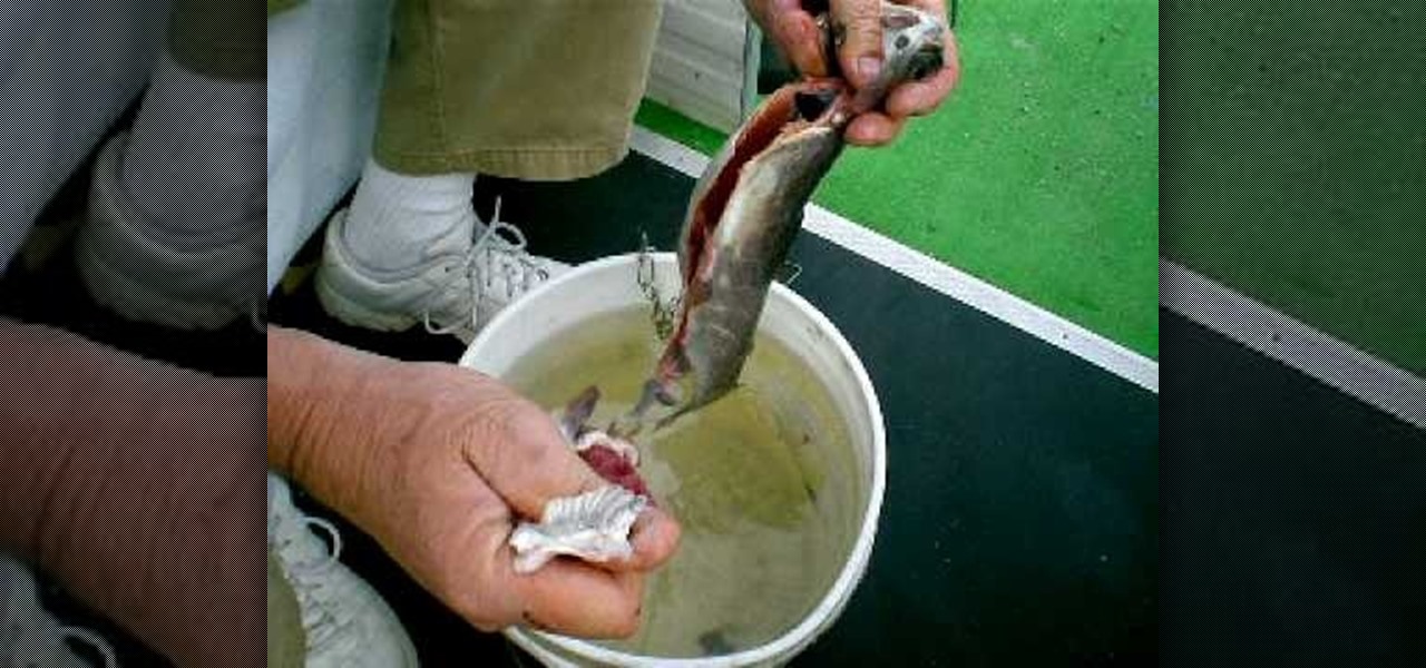 https://img.wonderhowto.com/img/23/06/63475317015732/0/gut-and-clean-fresh-caught-trout-fish.1280x600.jpg