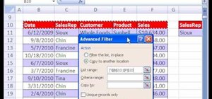 Filter records to a new workbook in Microsoft Excel