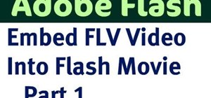Embed a .flv video file into a Flash movie application
