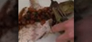 Make an herb grilled fish with a provencal sauce
