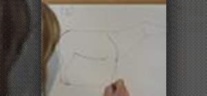 Draw an exotic African okapi animal with Jan Brett