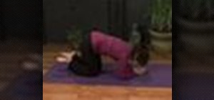 Do a dolphin pose for a yoga headstand