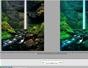 Optimize a waterfall image in PhotoTune for Photoshop