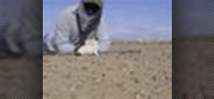 Go meteorite hunting on a dry lake bed