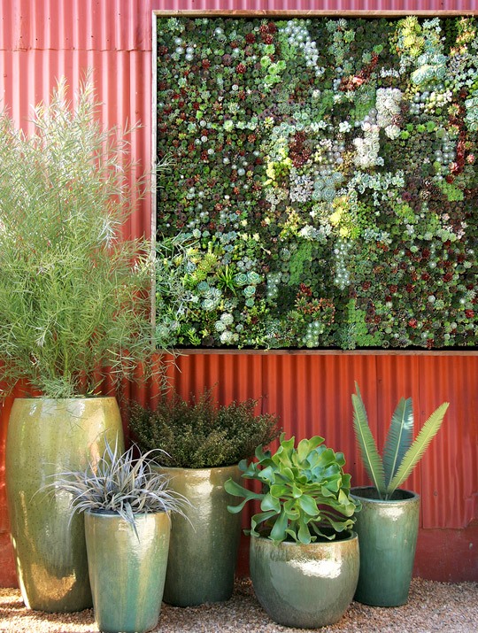 DIY Vertical Garden Lives and Breathes