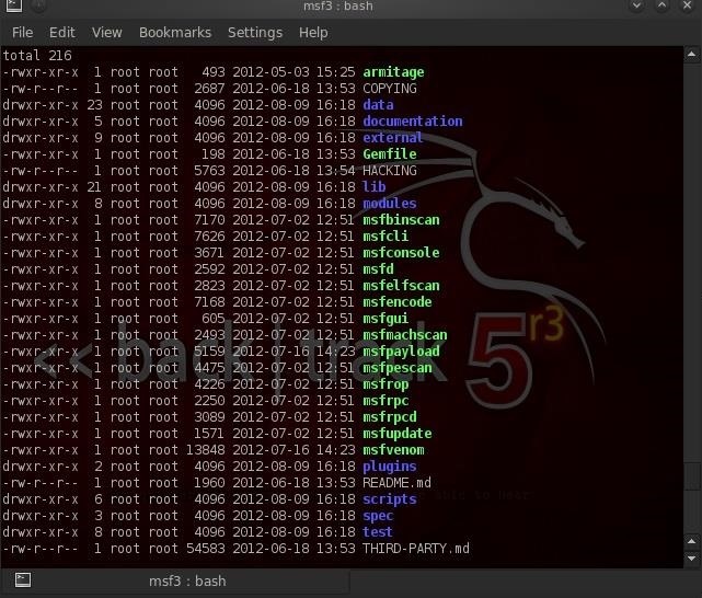 Hack Like a Pro: Exploring the Inner Architecture of Metasploit