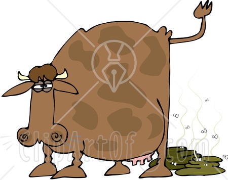 The cow poo porta loo