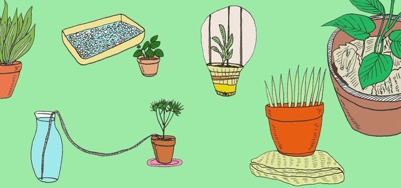 6 DIY Tips for Watering Your Houseplants While Away on Vacation ...