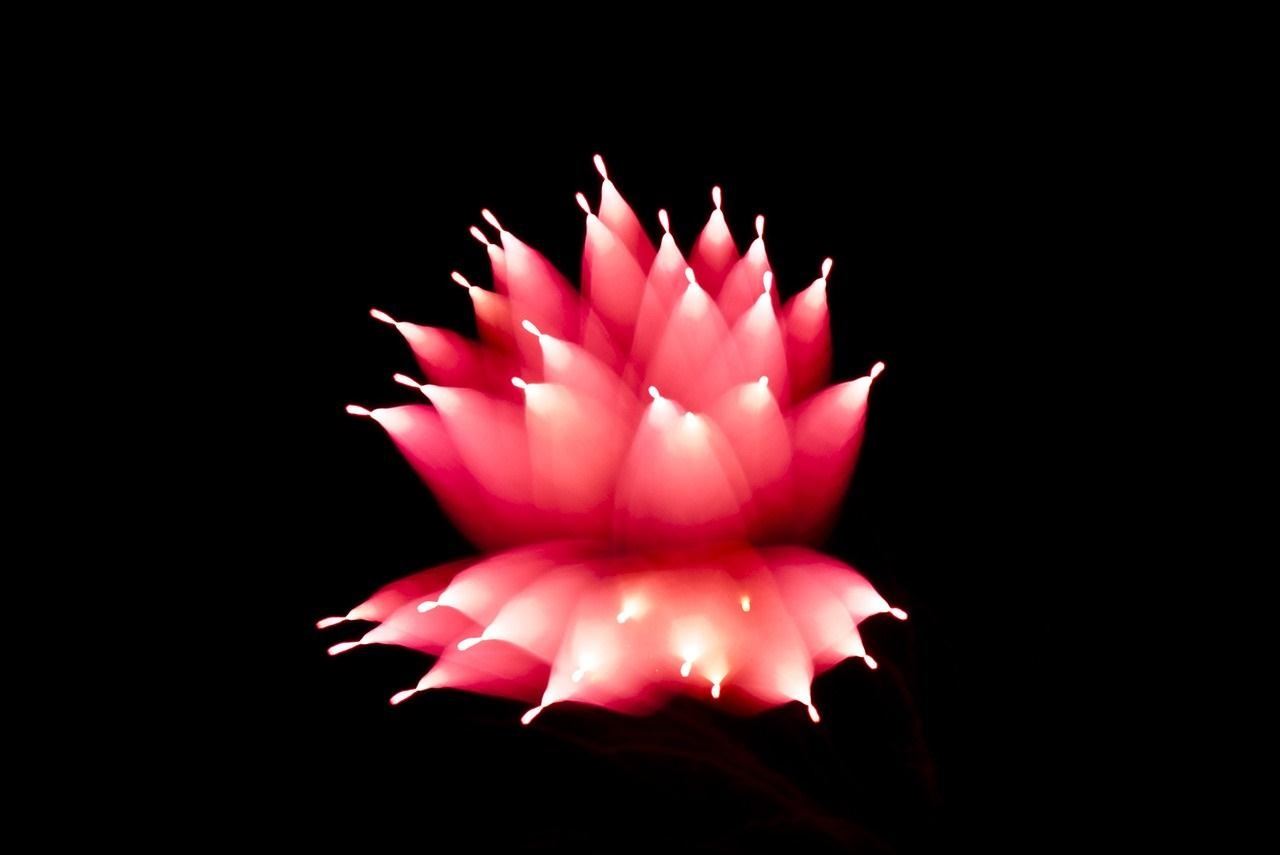 This Easy Photo Trick Makes Fireworks Look Like Brilliant Sky Creatures