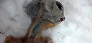 Frozen Alien in Russia Made of Chicken and Bread