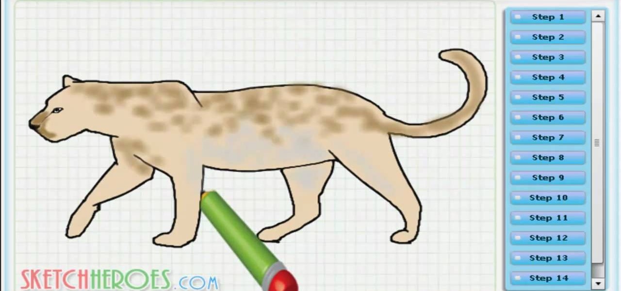 Draw a Leopard