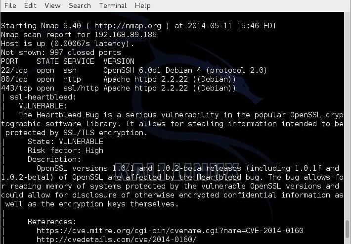 Hack Like a Pro: How to Scan the Internet for Heartbleed Vulnerabilities