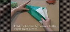 Origami a special turtle with reverse folds