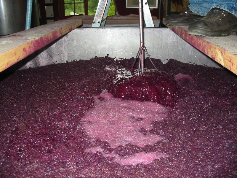 Wine Research Study Reveals How to Make Better Booze by Dosing Yeast with Nitrogen
