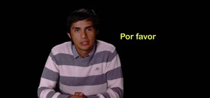 Ask someone please in perfect Spanish ("Por favor")