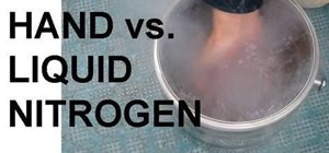 Show the Leidenfrost Effect (Hand vs. Liquid Nitrogen)