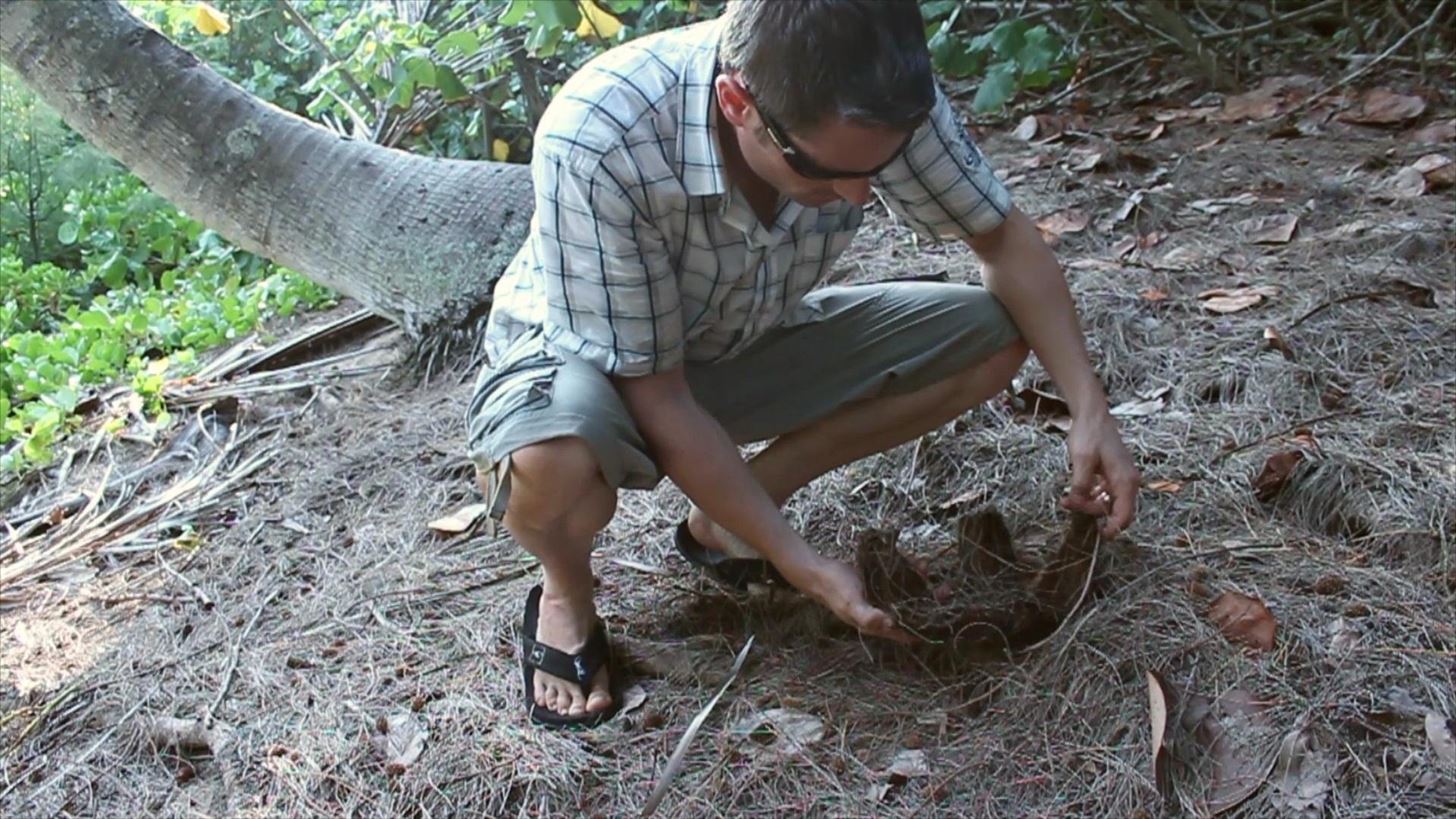 How to Make a Fire by Rubbing Two Sticks Together!