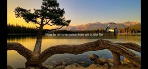 Remove noise from audio files in Ubuntu with Audacity