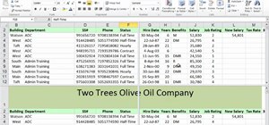 Freeze titles and create split screens in Microsoft Excel 2010