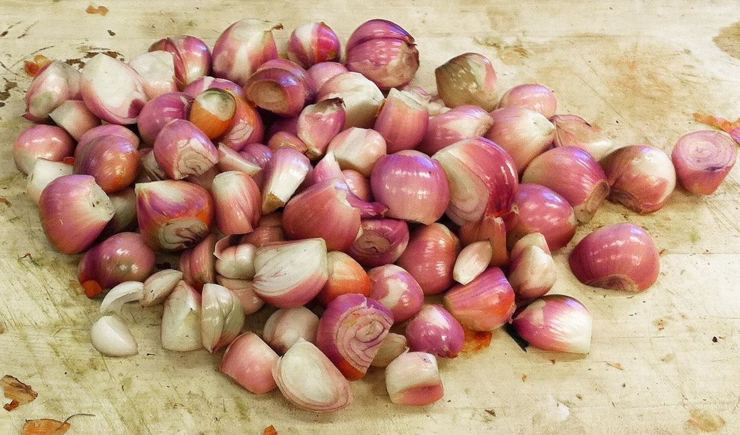 How to Cook for Garlic & Onion Haters: Alternatives & Substitutes