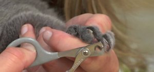 Trim the nails on your cat