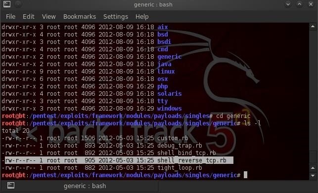 Hack Like a Pro: Exploring the Inner Architecture of Metasploit