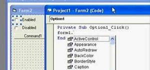 Control forms within the Microsoft Visual Basic 6 IDE