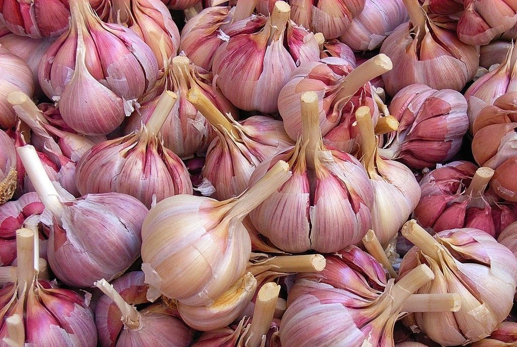 How to Take the Bite Out of Garlic