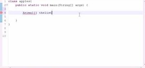 Create a simple polymorphic program in Java