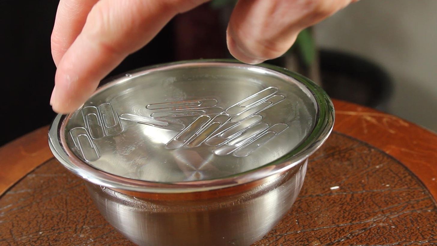 How to Make a Paperclip Float on Water