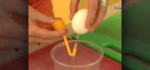 Blow eggshells off your eggs and use in craft projects