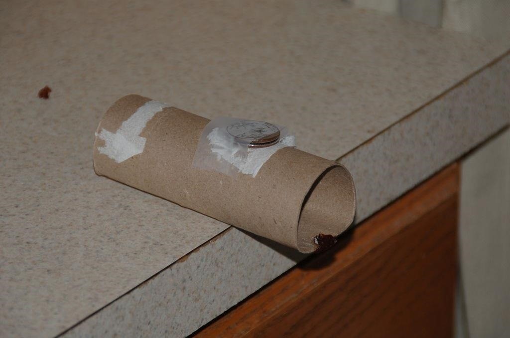 5 Clever Ways to Make a Simple No-Kill Trap for Mice & Rats
