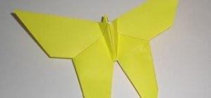 Fold a delicate origami butterfly for beginners