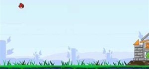 Dorkly asks, Are the Angry Birds committing a strategic error?