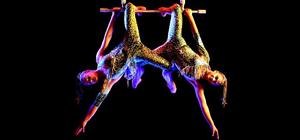 Cirque Du Soleil Trampoline Ninjas