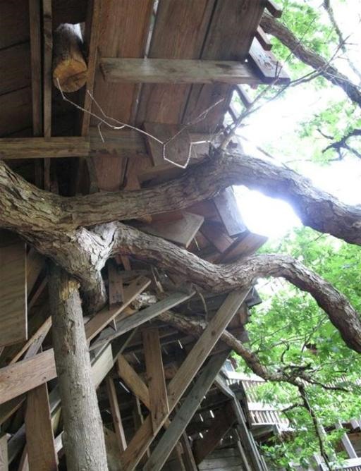 Insanely GINORMOUS Treehouse
