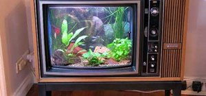 How to Turn an Old TV into a Sweet Fish Tank!