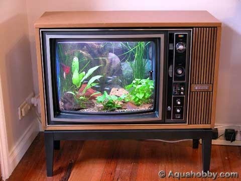 How to Turn an Old TV into a Sweet Fish Tank!
