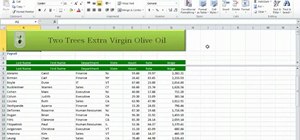 Freeze panes in Microsoft Excel 2010