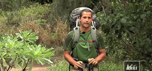 Adjust the length on your trekking pole for hiking