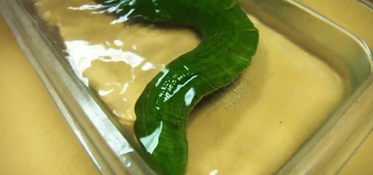 Turn an Innocent-Looking Cucumber into a Slithering Snake Using a Sharp Knife & Precise Cuts
