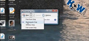 Use Windows Vista's snipping tool to make a screen cap