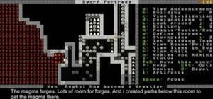 Build and use hospitals in Dwarf Fortress 2010