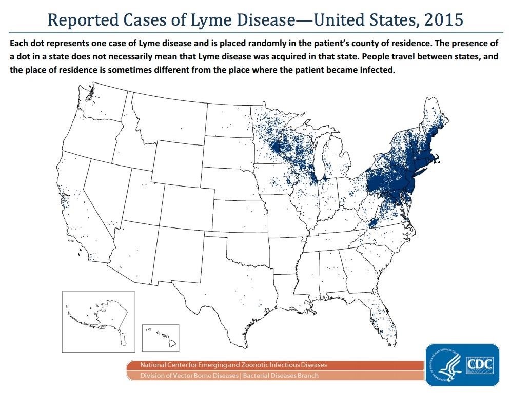 Visiting a National Park in the East? Watch for Lyme-Spreading Ticks
