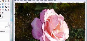 Use the paths and foreground select tool in GIMP