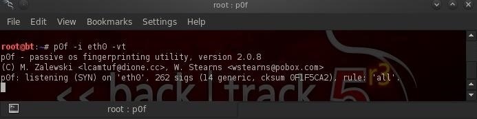 Hack Like a Pro: How to Conduct Passive OS Fingerprinting with p0f