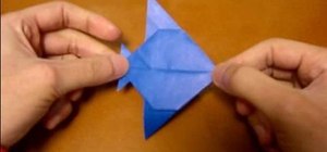 Origami an angelfish from a single paper sheet