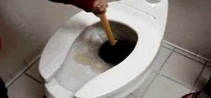 Unclog a toilet